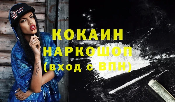 соль ск Ельня