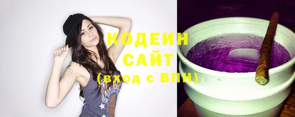 соль ск Ельня