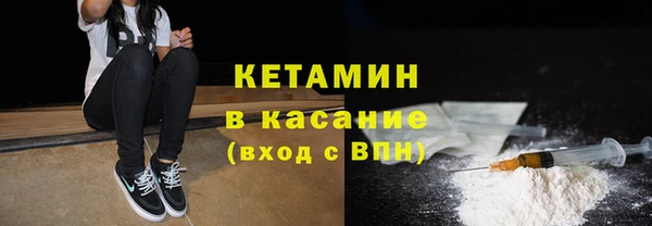 соль ск Ельня