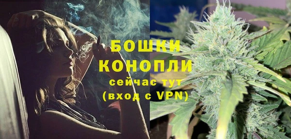 соль ск Ельня