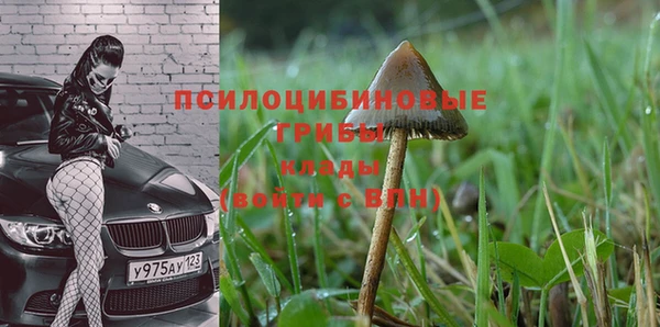 мескалин Елизово