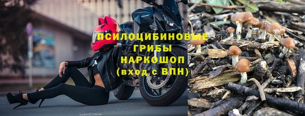 соль ск Ельня