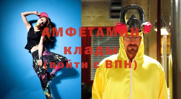 соль ск Ельня